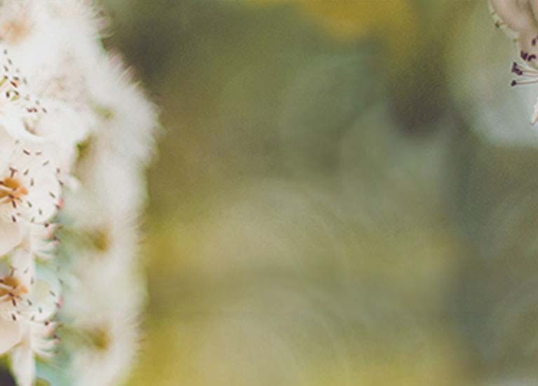 Diamond Cluster Earrings 