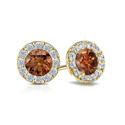 Certified 14k Yellow Gold Halo Round Brown Diamond Stud Earrings 1.50 ct. tw. (Brown, SI1-SI2)
