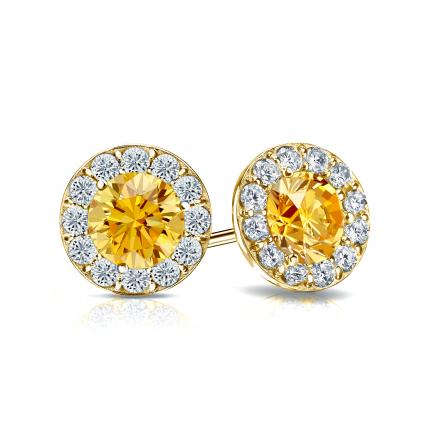 Certified 14k Yellow Gold Halo Round Yellow Diamond Stud Earrings 1.50 ct. tw. (Yellow, SI1-SI2)