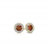 Certified 14k Yellow Gold Halo Round Brown Diamond Stud Earrings 0.50 ct. tw. (Brown, SI1-SI2)