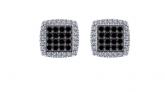 Black & White Diamond Stud Earrings with .60ct. tw. 14K White Gold