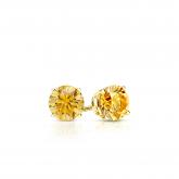 Lab Grown Diamond Stud Earrings Round Yellow 0.25 ct.tw. in 14k Yellow Gold 4-Prong Basket