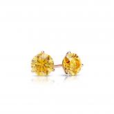Certified 14k Rose Gold 3-Prong Martini Round Yellow Diamond Stud Earrings 0.25 ct. tw. (Yellow, SI1-SI2)