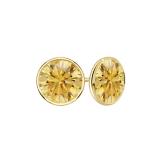 14K Yellow Gold Bezel Round Yellow Diamond Stud Earrings 1.50 ct. tw. (Yellow, VS1-VS2)