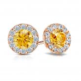 Certified 14k Rose Gold Halo Round Yellow Diamond Stud Earrings 2.50 ct. tw. (Yellow, SI1-SI2)